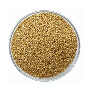 Kodo Millet (Arikelu) – A Fiber-Rich Supergrain for a Healthy Lifestyle