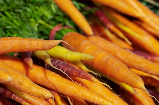 organic-vegies (2)