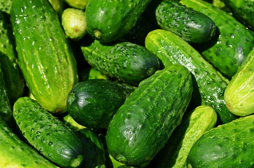 organic-vegies (3)